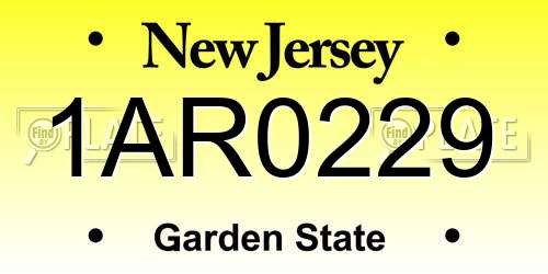 1AR0229 New Jersey License Plate
