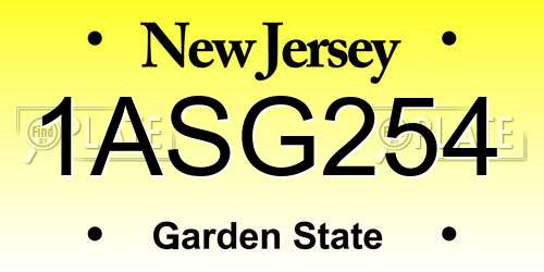 1ASG254 New Jersey License Plate