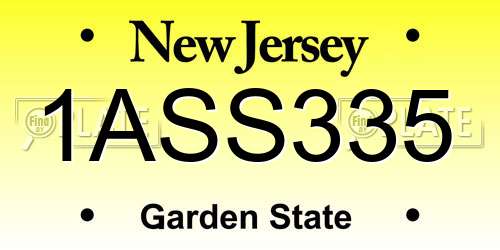 1ASS335 New Jersey License Plate