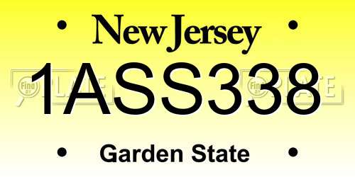 1ASS338 New Jersey License Plate