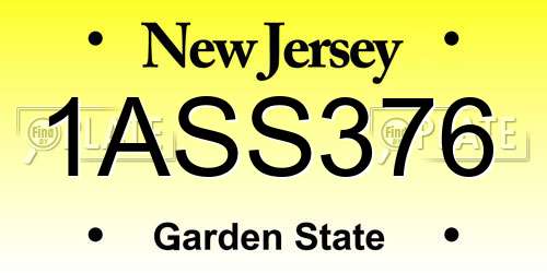 1ASS376 New Jersey License Plate