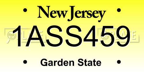 1ASS459 New Jersey License Plate