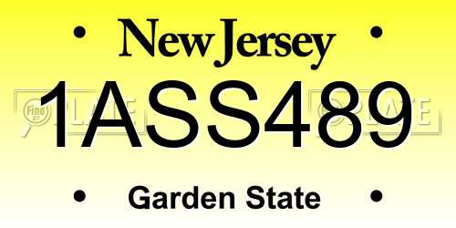 1ASS489 New Jersey License Plate