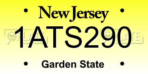 1ATS290 New Jersey License Plate
