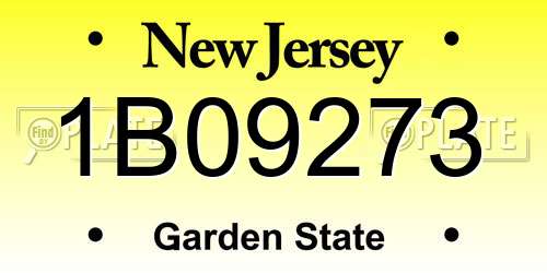 1B09273 New Jersey License Plate