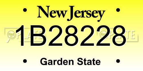 1B28228 New Jersey License Plate