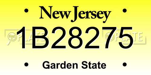 1B28275 New Jersey License Plate