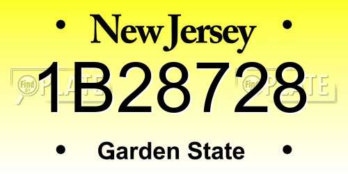 1B28728 New Jersey License Plate