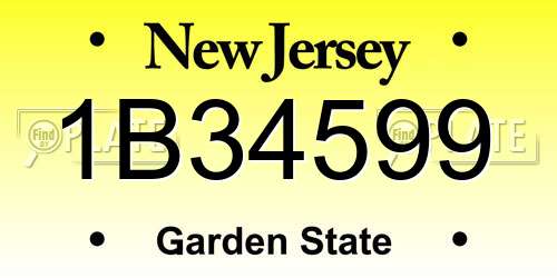1B34599 New Jersey License Plate