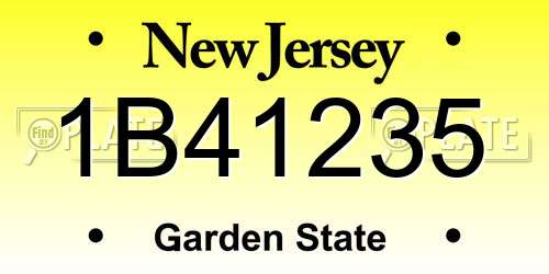 1B41235 New Jersey License Plate