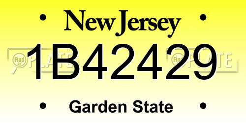 1B42429 New Jersey License Plate