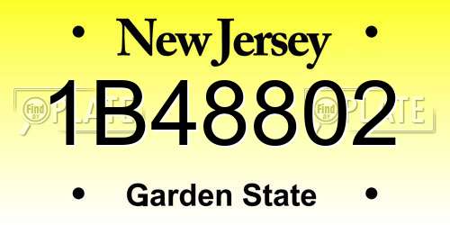 1B48802 New Jersey License Plate
