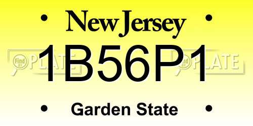 1B56P1 New Jersey License Plate