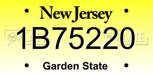 1B75220 New Jersey License Plate