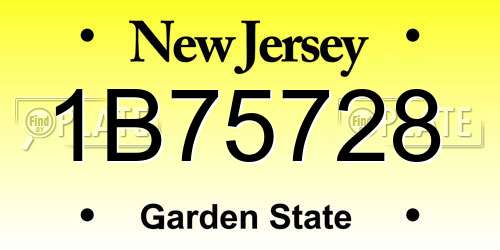 1B75728 New Jersey License Plate