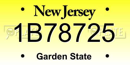 1B78725 New Jersey License Plate
