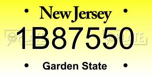 1B87550 New Jersey License Plate