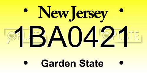 1BA0421 New Jersey License Plate