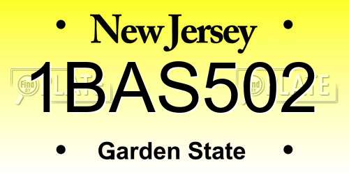 1BAS502 New Jersey License Plate