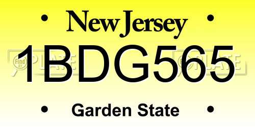 1BDG565 New Jersey License Plate