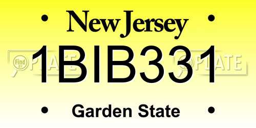 1BIB331 New Jersey License Plate