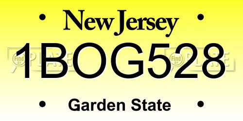 1BOG528 New Jersey License Plate