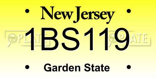 1BS119 New Jersey License Plate