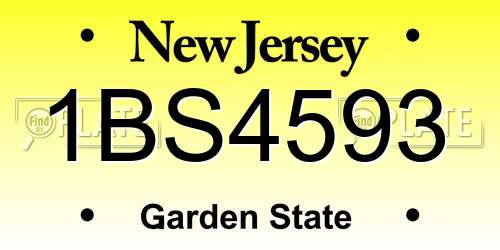 1BS4593 New Jersey License Plate