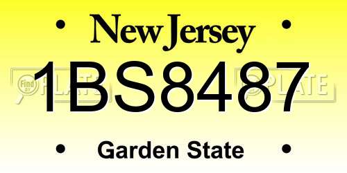 1BS8487 New Jersey License Plate