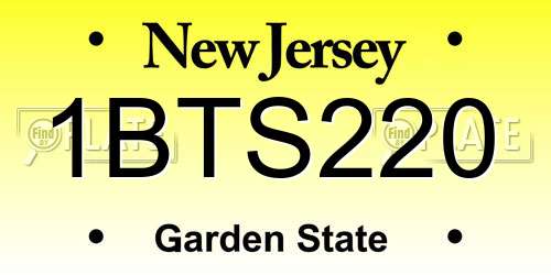 1BTS220 New Jersey License Plate