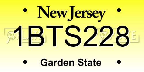 1BTS228 New Jersey License Plate