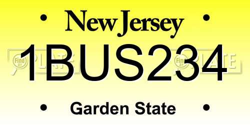 1BUS234 New Jersey License Plate