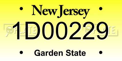 1D00229 New Jersey License Plate