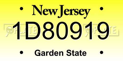 1D80919 New Jersey License Plate