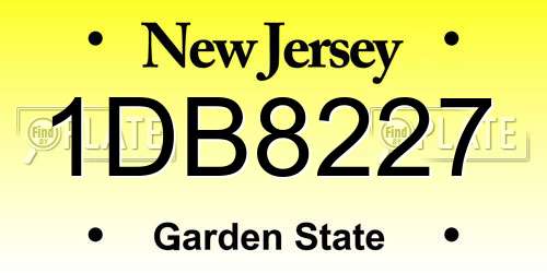 1DB8227 New Jersey License Plate