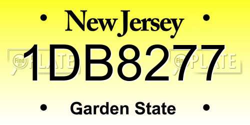 1DB8277 New Jersey License Plate