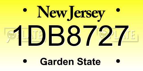 1DB8727 New Jersey License Plate