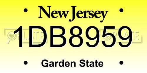1DB8959 New Jersey License Plate