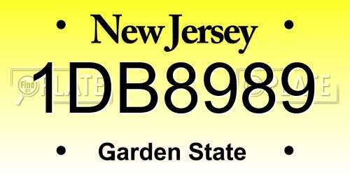 1DB8989 New Jersey License Plate