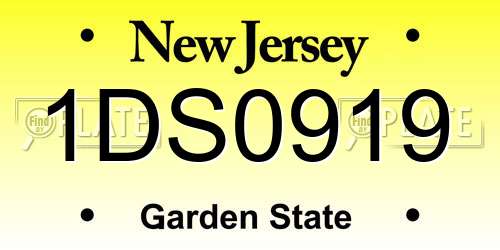 1DS0919 New Jersey License Plate