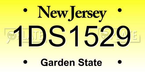 1DS1529 New Jersey License Plate