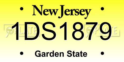 1DS1879 New Jersey License Plate