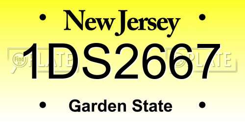 1DS2667 New Jersey License Plate