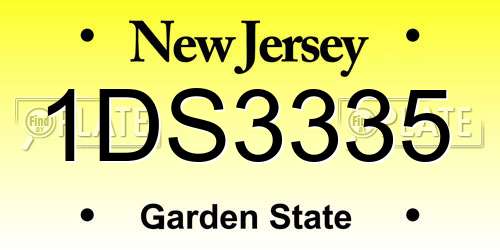 1DS3335 New Jersey License Plate