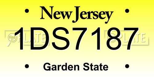 1DS7187 New Jersey License Plate