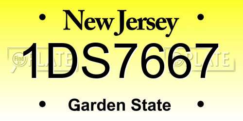 1DS7667 New Jersey License Plate