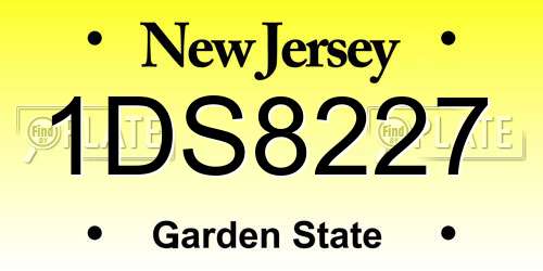 1DS8227 New Jersey License Plate
