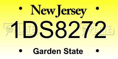 1DS8272 New Jersey License Plate