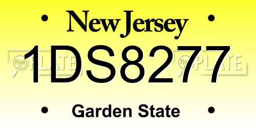 1DS8277 New Jersey License Plate