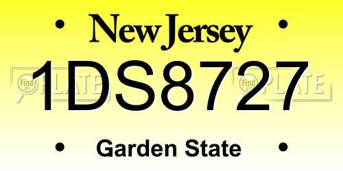 1DS8727 New Jersey License Plate